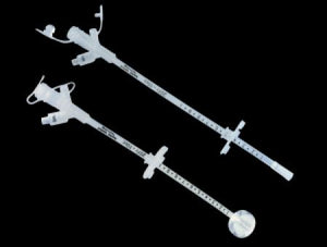 SKU:M135779